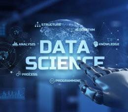 Data Scientist